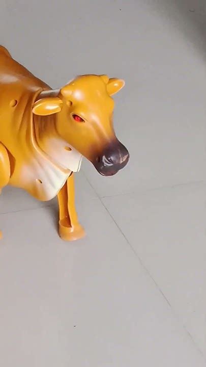 Image result for Wireless Remote Control Cow Sound