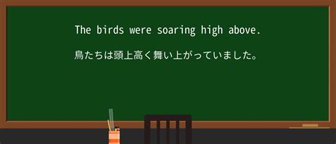 Image result for Soar Fly Outside