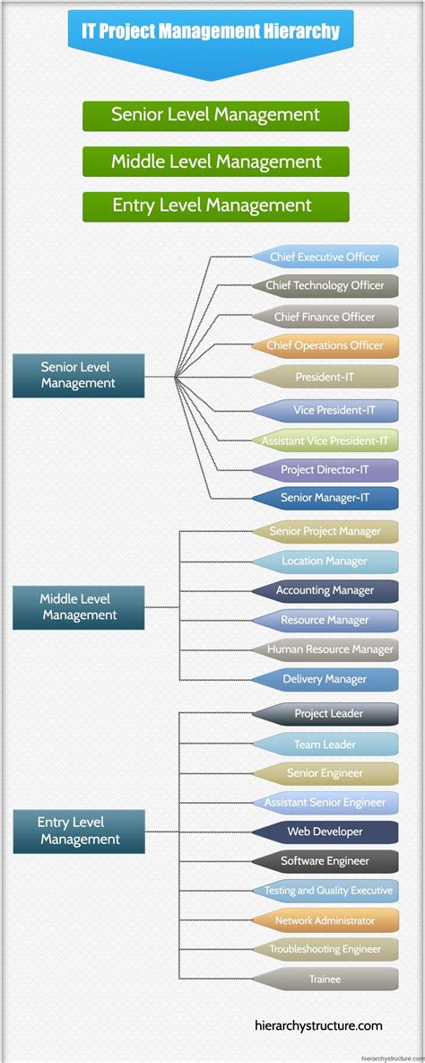 Image result for Director of Project Management Diagram