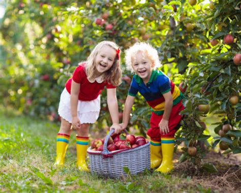 Image result for Jefferson Bus Lines Route Map