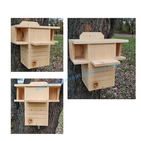 Fox Squirrel Nest Box に対する画像結果