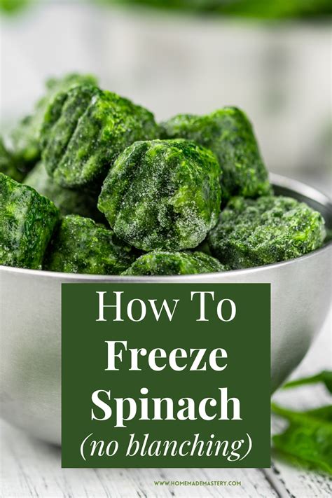 Image result for How to Freeze Spinach Leaves