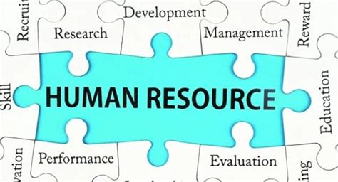 Afbeeldingsresultaten voor Role Human Resource Development