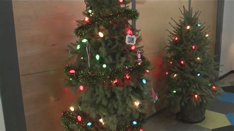 Toradh íomhá ar Amada Christmas Tree Program