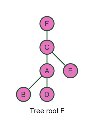 Image result for How to Graph Branches to a Tree to Make Tree Fuller