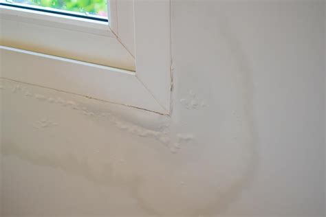 Image result for Damp Over Window