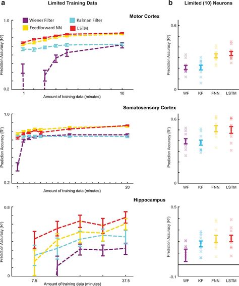 Image result for Neural Decoding MLE Example