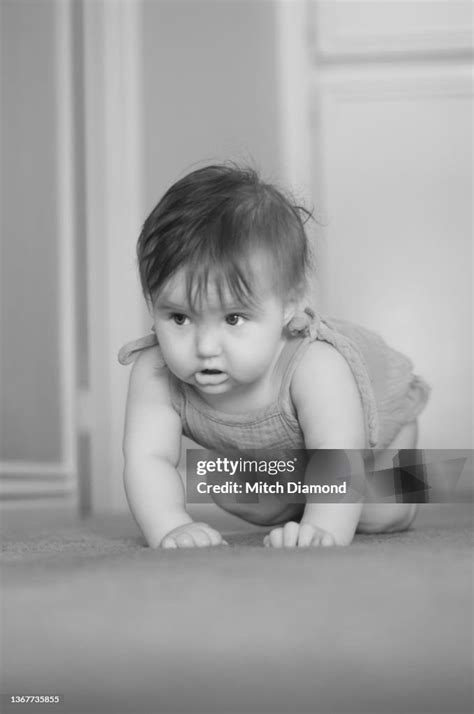 Image result for Crawling Icon