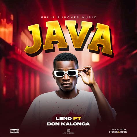 Image result for Java Album Covers