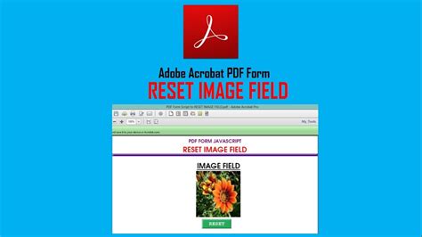 Afbeeldingsresultaten voor Acrobat/Adobe Script Visual