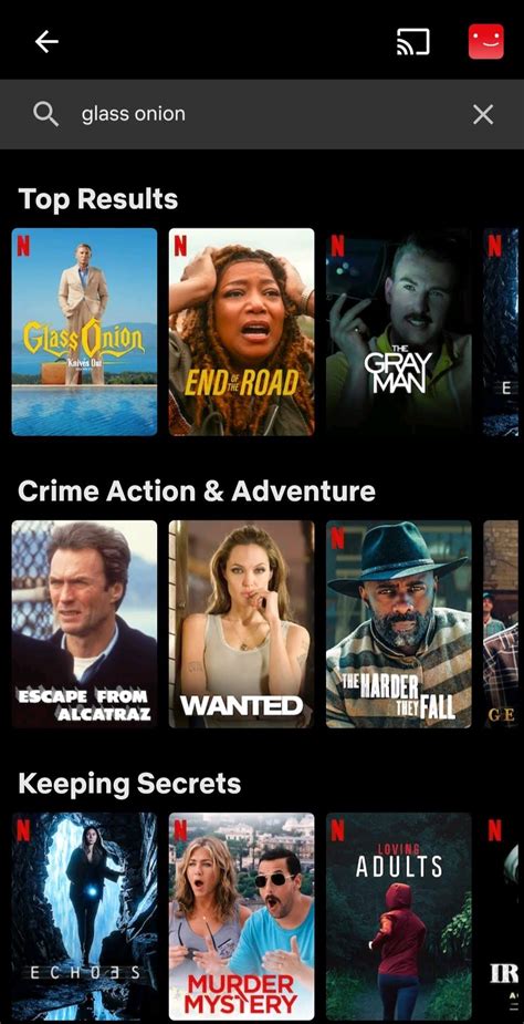 Image result for Search Netflix App