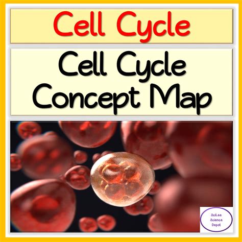 Cell Cycle Control Concept Map に対する画像結果