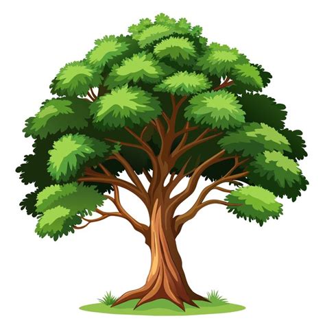 Afbeeldingsresultaten voor Realistic Tree Vector