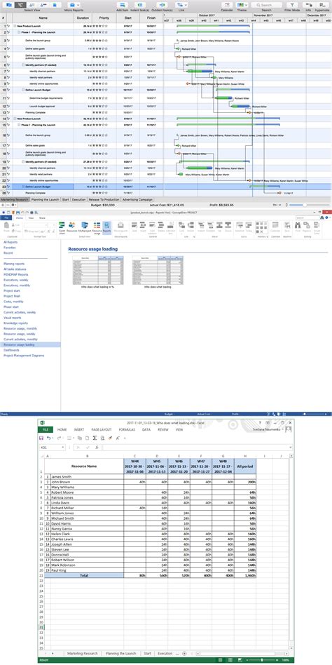 Project Resource Loading Figure に対する画像結果