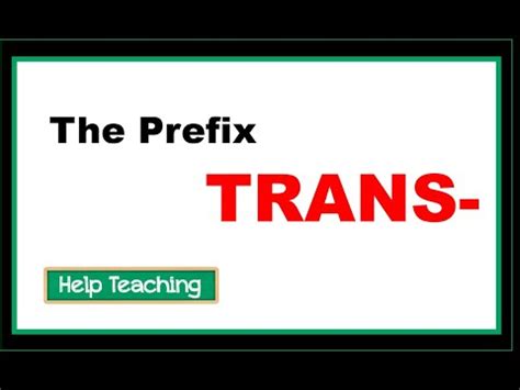 Image result for Prefix Trans Examples