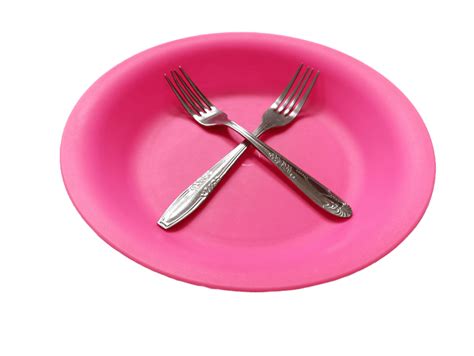 Image result for Plastic Plate PNG