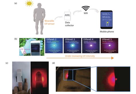 Photodetector Array Sensor に対する画像結果