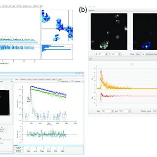 Image result for Python Lifetime Fitting