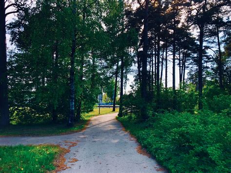 Split-Path Vector に対する画像結果