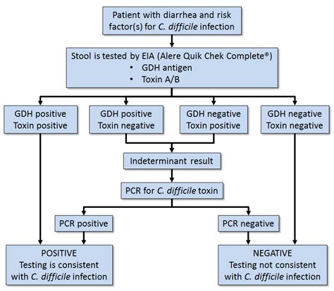 Image result for C. Diff Testing