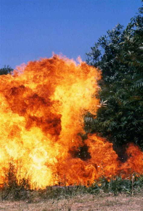 Image result for Exploding Aerosol Can