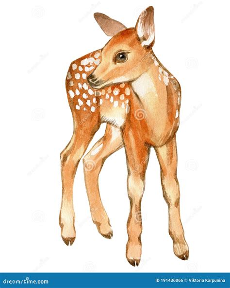 New Year Fawn Drawing に対する画像結果