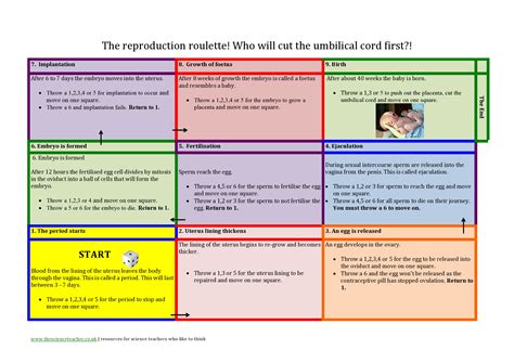 Image result for Human Reproduction Interactive