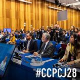 UNODC Executive Director に対する画像結果