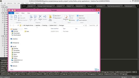 Image result for How to Execute Code in Sublime Text
