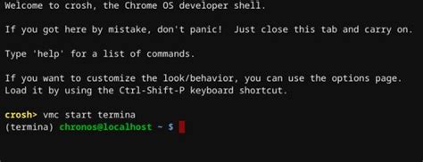 Image result for Crosh Commands