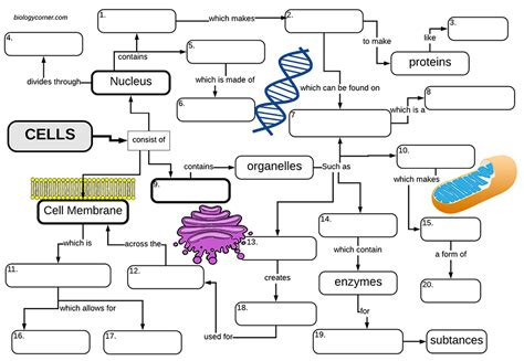 Afbeeldingsresultaten voor Cell Structure Mind Map