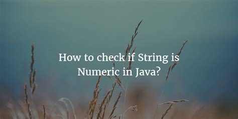 Image result for If Statement Between Numbers Java