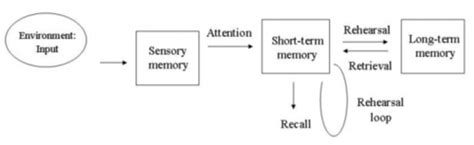 Toradh íomhá ar Multi-Store Model of Memory Visual Diagram