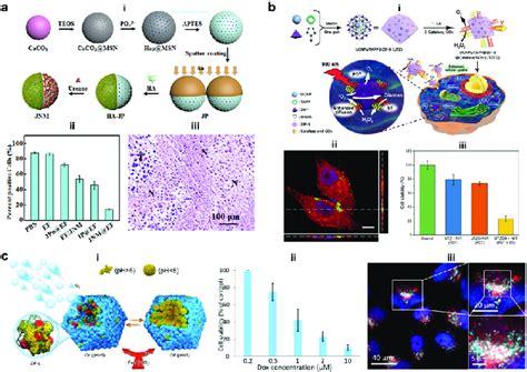 Afbeeldingsresultaten voor ePMS Development Process
