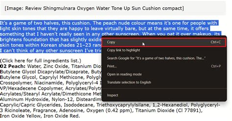 Copy/Paste Method に対する画像結果