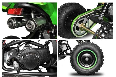 Image result for Python 49Cc