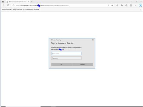 How to Show Authentication Pop Up Using Selenium-साठीचा प्रतिमा निकाल