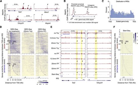 Image result for RNA Pol II ChIP-seq