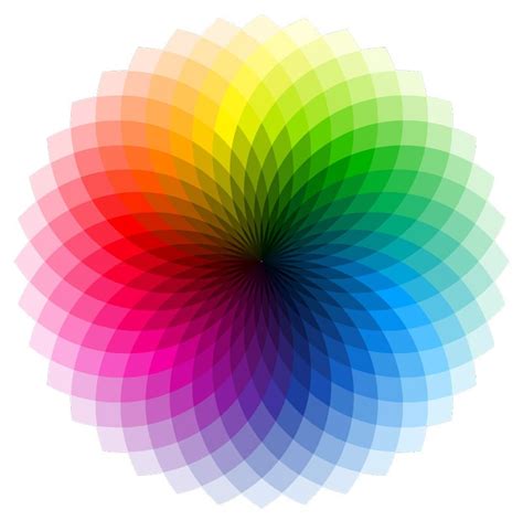 Image result for Color Design