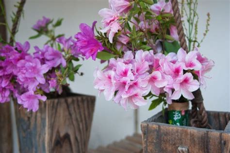 Stack Overlay Flutter に対する画像結果