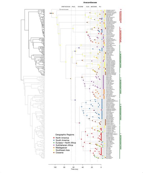 Image result for Maximum Likelihood Evolution