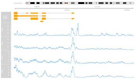 Image result for RNA Pol II ChIP-seq