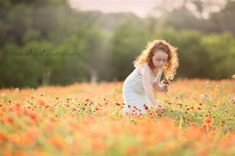 Image result for Field Photography