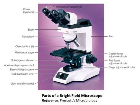 Image result for How Microscope Works