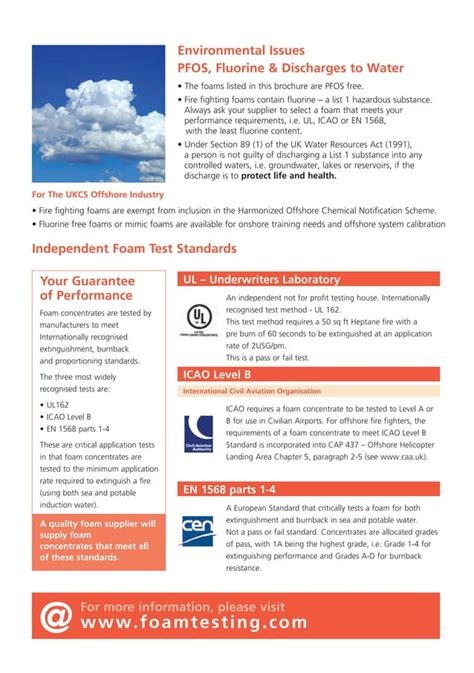 Foam Testing Sample に対する画像結果