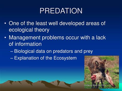 Example of Predation に対する画像結果