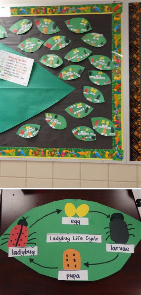 Image result for Patterns of Life Projects