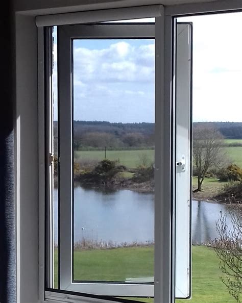 Image result for Window Insect Screen