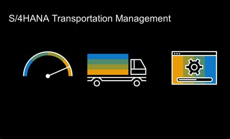 Afbeeldingsresultaten voor SAP TM