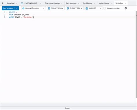 Where Filter Condition SQL Statement に対する画像結果